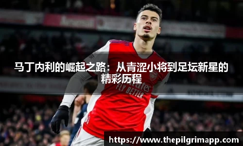 马丁内利的崛起之路：从青涩小将到足坛新星的精彩历程