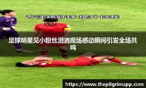 k1体育